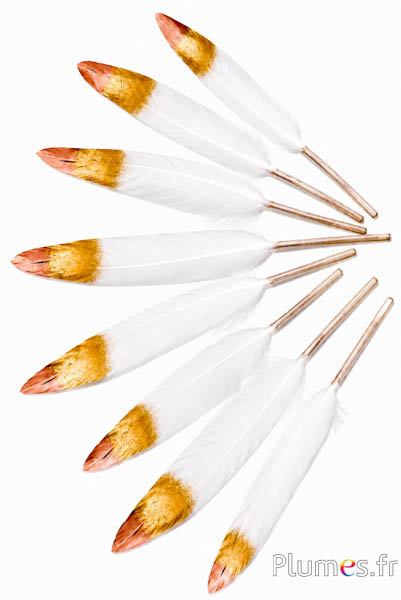 Gans goudbronzen punt - 10-15 cm - rozebeige